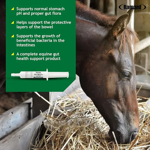 Vista 5 de Ramard Total Gut Health Equine Digestive Support - Suplemento de salud intestinal equino probióticos para caballos, vitaminas intestinales