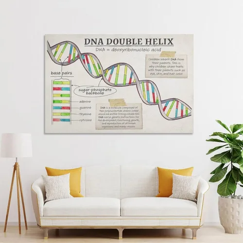 Vista 4 de Póster de biología con función celular de ADN, estructura celular, póster educativo para aula, póster artístico y arte de pared, decoración moderna