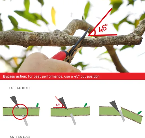 Vista 6 de Eden 39005 Tijeras de podar de derivación, diámetro de corte de 5/8 pulgadas para tallos y ramas