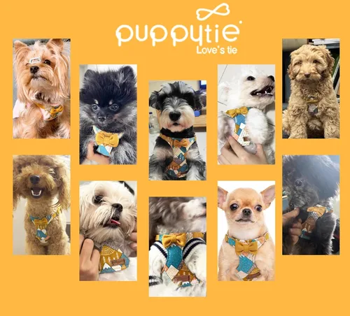 Vista 54 de Arnés sin tirones para perro, con correa multifunción, pechera suave y ajustable para mascota, no ahorca, chaleco a prueba de escape para perros
