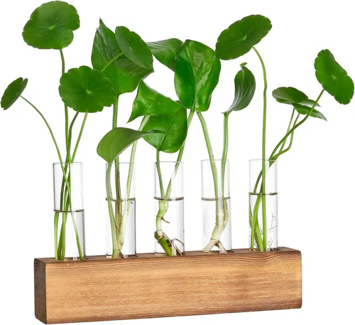 Estaciones de propagación YIBOT, terrario de plantas con soporte de madera, regalos de jardinería de cumpleaños para mujeres, madres amantes de las