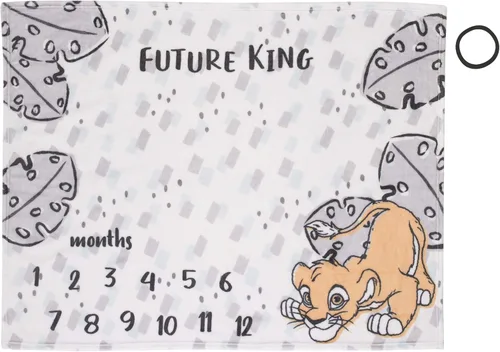 Vista 7 de Disney Classic Winnie The Pooh, manta de bebé súper suave color blanco, gris y lima, blanco, gris, lima, carbón