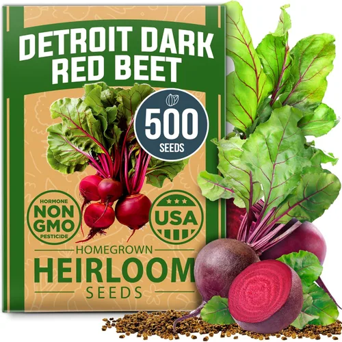 Vista 106 de HOME GROWN Semillas de diente de león para plantar 600 semillas de hierbas medicinales tradicionales (~ 0.01 oz) sin OMG cultivan hojas y flores