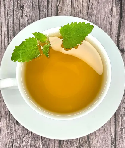 Vista 9 de Té de hierba gatera – Serie de té de hierbas puro de Palm Beach Herbal Tea Company (30 bolsas de té) 100% natural