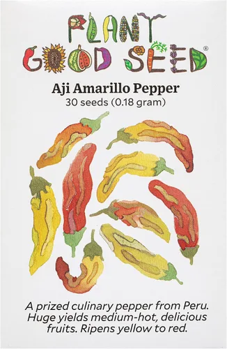 Plant Good Seed Semillas de pimienta Aji Amarillo orgánicas para plantar: chile tradicional peruano, frutos amarillos anaranjados - Paquete de 30