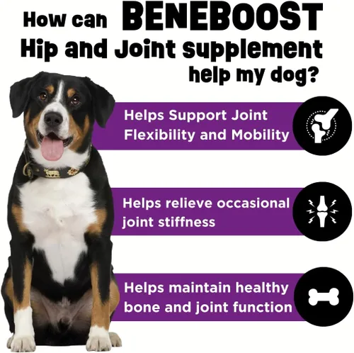 Vista 2 de Dinovite BeneBoost - Suplemento líquido para cadera y articulaciones para perros, suplemento para articulaciones de perro con glucosamina