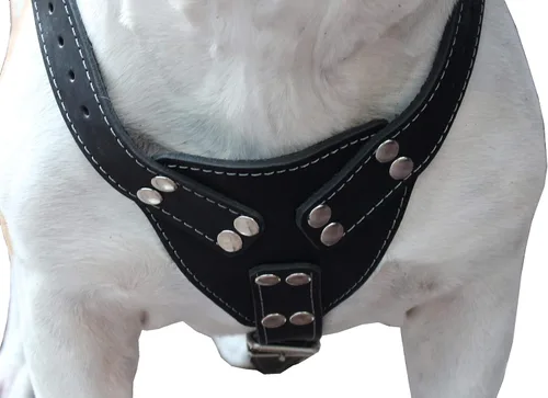 Vista 5 de Arnés para perro de cuero genuino negro grande. 30-35 pecho, 1.5 correas anchas Pitbull, Boxer