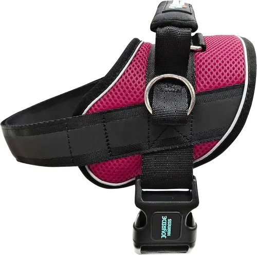 Vista 7 de Joyride Harness Chaleco de malla de verano – Arnés para perro 2.0 sin tirones – Chaleco ajustable y transpirable – Etiqueta de nombre personalizada