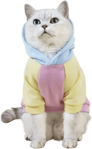 Vista 18 de QWINEE Sudadera básica con capucha para perro, suéter cálido para gatos, ropa para mascotas para Chihuahua, cachorro, gatito, perros pequeños