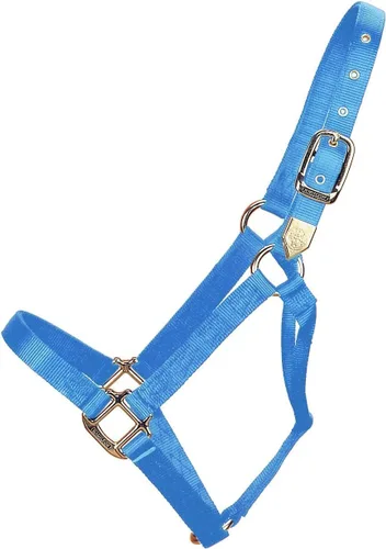 Hamilton Caballo de nailon de 1 pulgada, tamaño pequeño (500-800 libras), azul baya