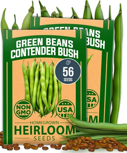 Vista 11 de HOME GROWN Semillas de diente de león para plantar 600 semillas de hierbas medicinales tradicionales (~ 0.01 oz) sin OMG cultivan hojas y flores