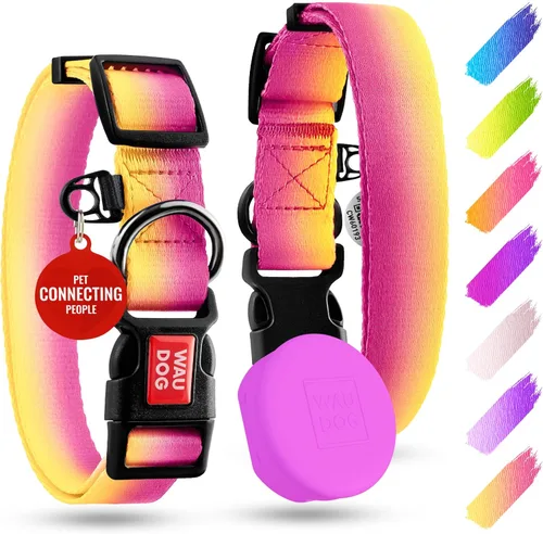 Vista 27 de WAUDOG Collar de nailon para perros – Collar ajustable para perros grandes, pequeños y medianos – Collares de cachorros para perros de razas grandes