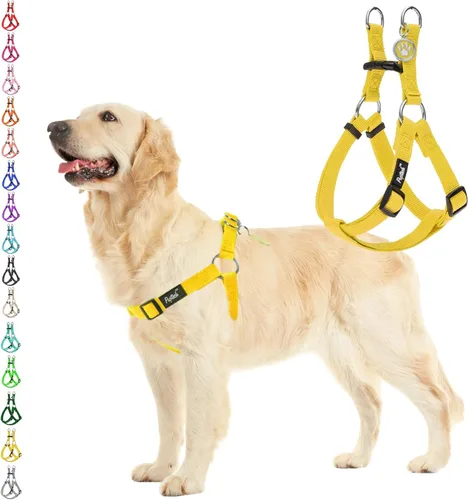Vista 38 de Pupteck - Arnés para perros sin jalar, suave, ajustable, de nailon, talla básica, chaleco para cachorro, para caminar al aire libre con etiqueta