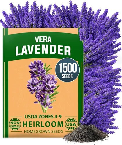 Vista 53 de HOME GROWN Semillas de diente de león para plantar 600 semillas de hierbas medicinales tradicionales (~ 0.01 oz) sin OMG cultivan hojas y flores