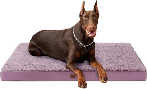 Vista 64 de EHEYCIGA Camas ortopédicas para perros, cama para perros con funda extraíble lavable, todos los tamaños de perros