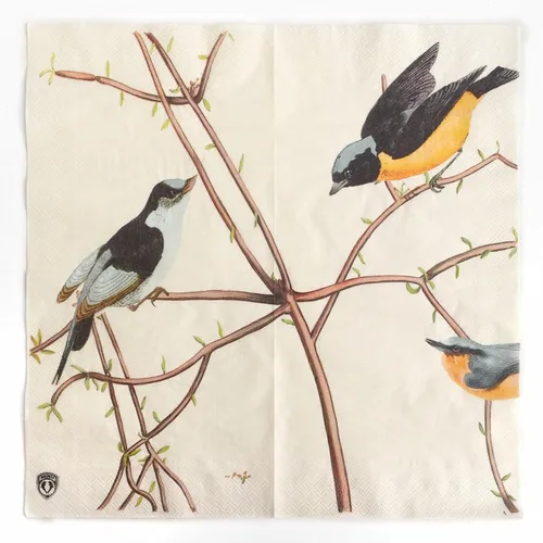 Vista 38 de Zelten Servilletas de papel de colores (rosa telar)