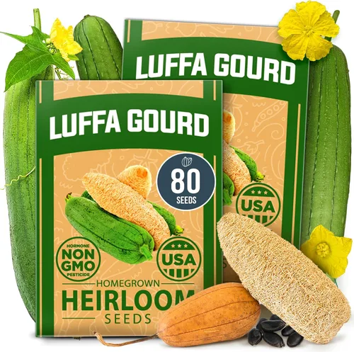 Vista 112 de HOME GROWN Semillas de diente de león para plantar 600 semillas de hierbas medicinales tradicionales (~ 0.01 oz) sin OMG cultivan hojas y flores