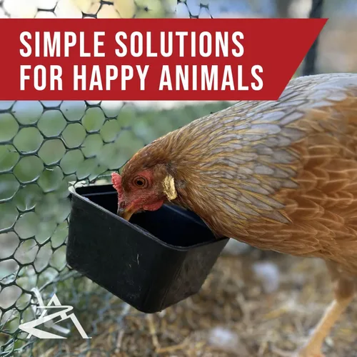 Vista 6 de The ROP Shop Paquete de 36 vasos negros de plástico flexible para evitar que se congelen y se rompan