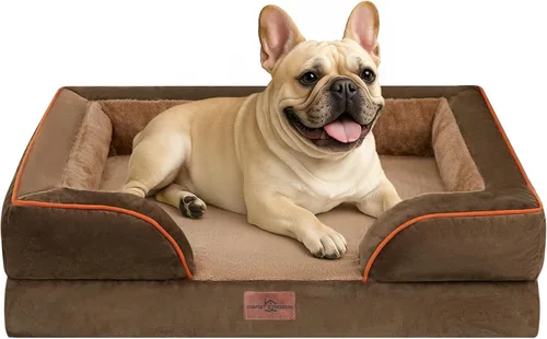 Vista 45 de Comfort Expression - Cama ortopédica para perros extragrandes, 53 x 42 pulgadas, cama impermeable y de apoyo de espuma con cojines removibles