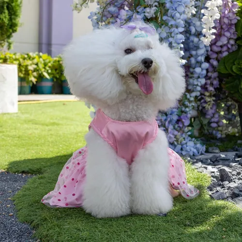 Vista 5 de CuteBone Vestido de cumpleaños para niña, ropa de princesa, disfraz de gato, ropa para perros pequeños, traje para mascotas, DD20XXS