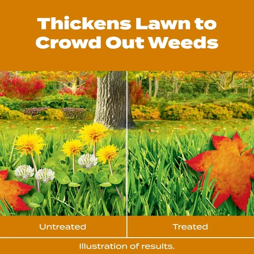 Vista 4 de Scotts Turf Builder WinterGuard Fall Weed & Feed3, Herbicida Plus Fertilizante de Otoño, 4,000 pies cuadrados, 11.43 libras.