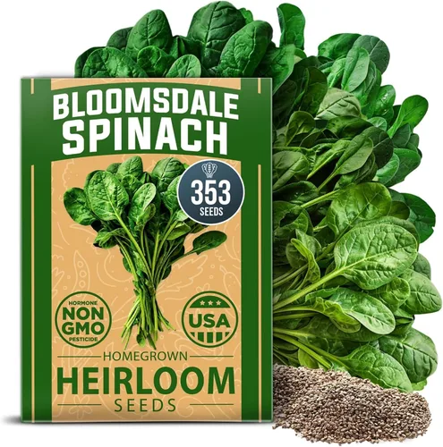 Vista 56 de HOME GROWN Semillas de diente de león para plantar 600 semillas de hierbas medicinales tradicionales (~ 0.01 oz) sin OMG cultivan hojas y flores