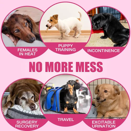 Vista 5 de Dono Pañales desechables para perras, pañales súper absorbentes para perritos, tecnología de gel de secado rápido, ajuste a prueba de fugas