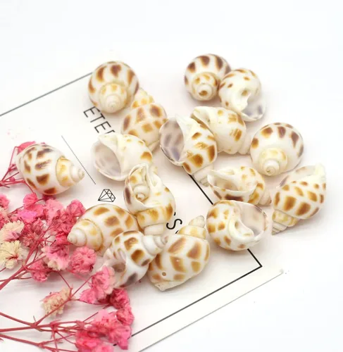 Vista 3 de Cuentas de concha natural multicolor para hacer manualidades, pecera, acuario, decoración del hogar, B0B6PQRLRM