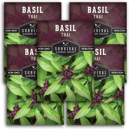 Semillas de albahaca tailandesa para plantar – Albahaca dulce tailandesa con sabor a anís para cocina asiática – Semillas de hierbas tradicionales