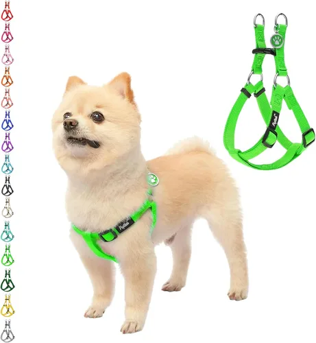 Vista 8 de Pupteck - Arnés para perros sin jalar, suave, ajustable, de nailon, talla básica, chaleco para cachorro, para caminar al aire libre con etiqueta