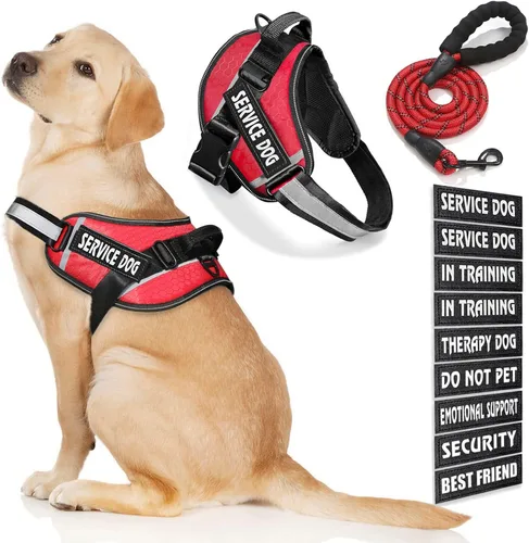 Vista 62 de Chaleco para Perro de Servicio, 9 Parches Arnés para Perro sin Tirones y Correa con Asa, Chaleco para Mascota Fácil de Poner y Quitar con Correas