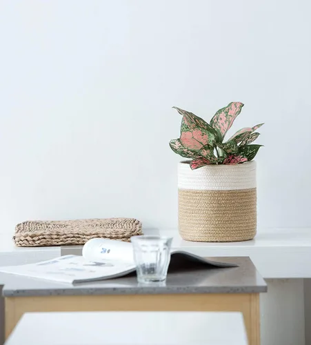 Vista 3 de Dahey - Cesta tejida pequeña de cuerda de algodón para plantas, cesta enrollada para macetas de hasta 7 pulgadas, cesta decorativa para cubrir