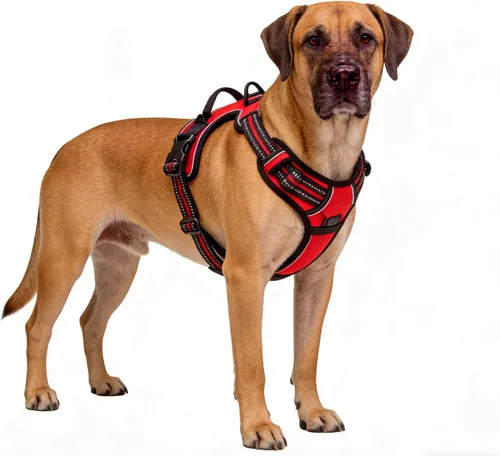 Vista 16 de Arnés negro reflectante sin tirones para perro con 2 clips para correa, chaleco acolchado suave para perros pequeños, fácil de poner y quitar