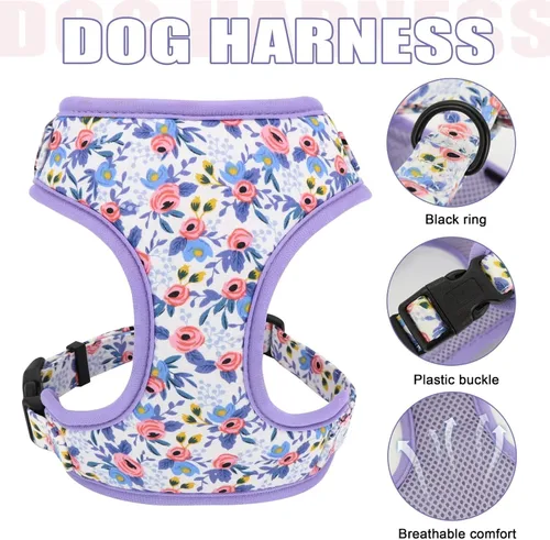 Vista 3 de Beirui Lindo juego de collares, arneses y correas para perro hembra, juego de collar y correa ajustable con flor, arnés de malla suave