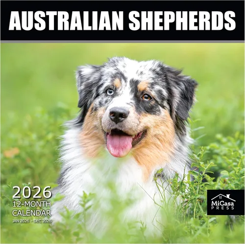 Vista 90 de MICASA PRESS Calendario de pared de Australian Shepherds Aussies 2027 02 - Pastores australianos