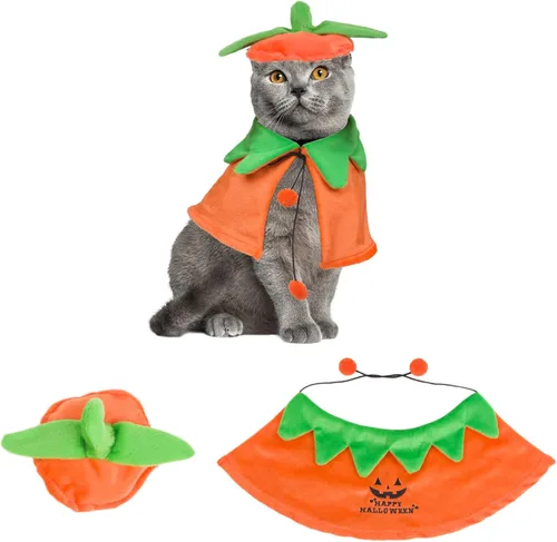 ADOGGYGO Disfraces de gato de Halloween con capa de calabaza para gatito, disfraz de calabaza de Halloween para gatos y gatitos