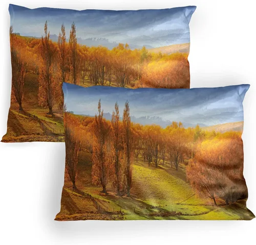Vista 18 de Lunarable Nature Pillow Sham Set of 2, Sunset in a Winter Park Russia Sun Rays Through Trees Pathway to Forest, Quality Microfiber Bedding Item for